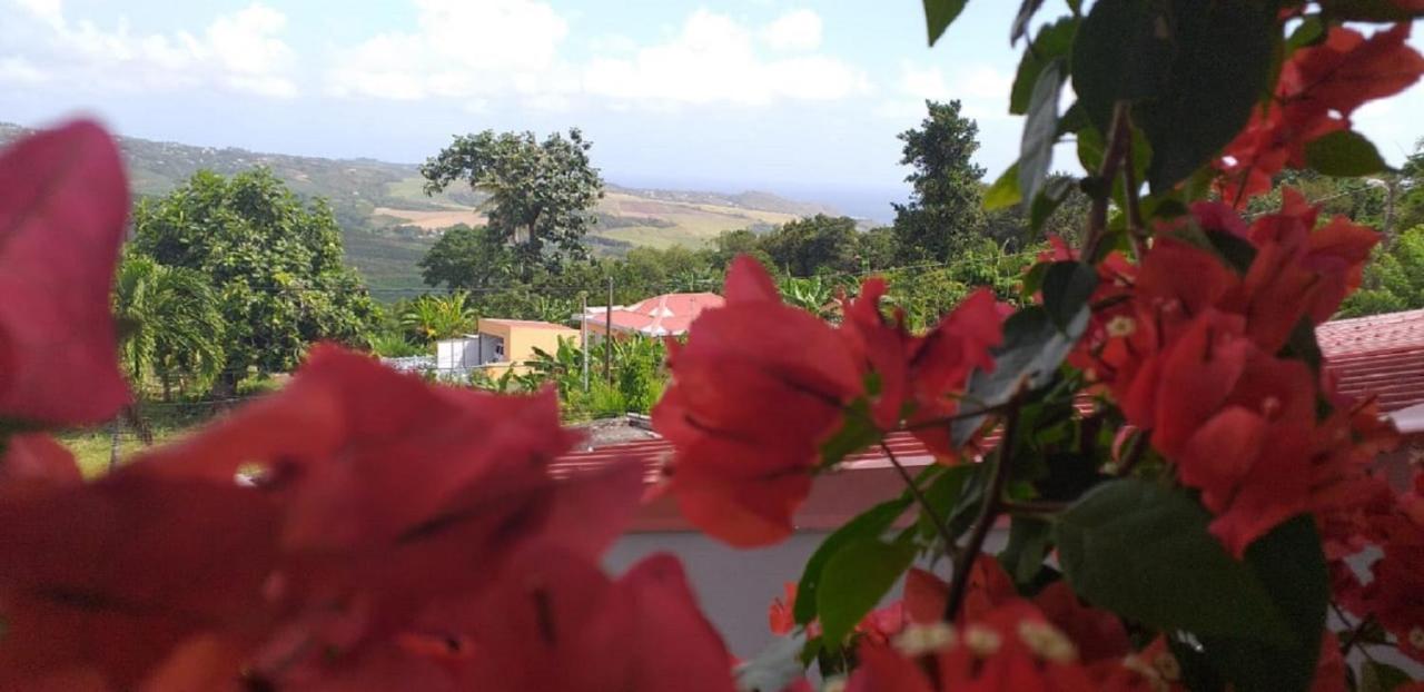 T2 Echappee Belle Sainte-Marie Kybo Karaib Location Pkg Mtgne Cosy Apartment Bagian luar foto